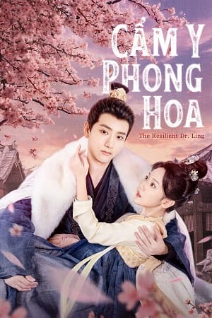 Cẩm Y Phong Hoa