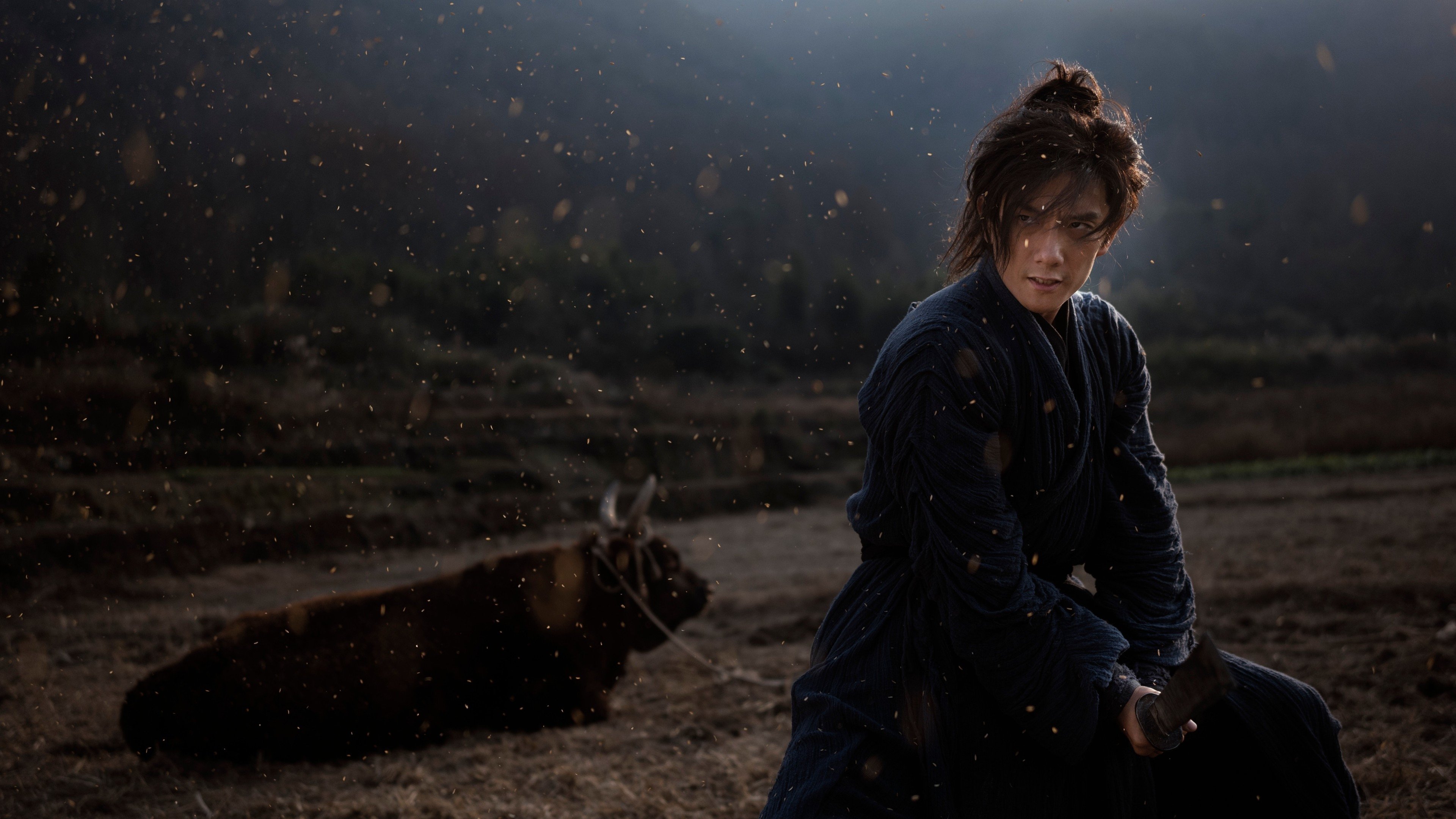 Lệnh Truy Nã Giang Hồ